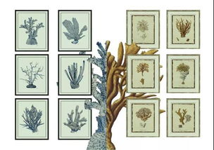 一面墙，装点成两个世界 CIFF上海大牌提前看中的艺术交融